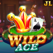 Wild Ace slot on d9d9 game apk